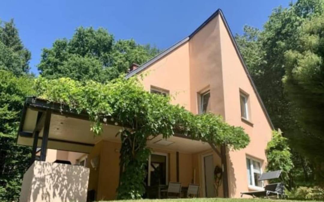 La Fontaine Aux Enfants - Gr5 - Chambre Avec Sdb Privee Abreschviller Exterior photo